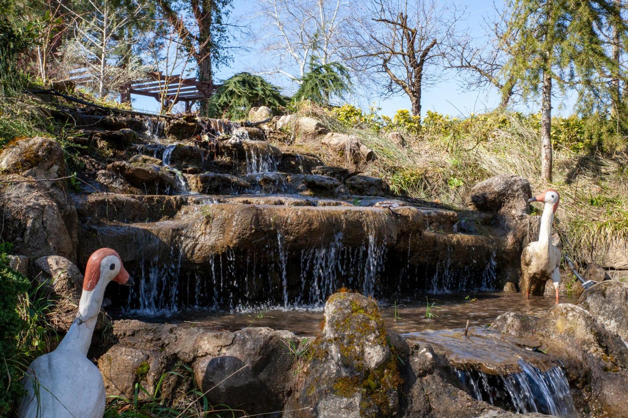 Elgarden Hotel & Spa Masukiye Kültér fotó